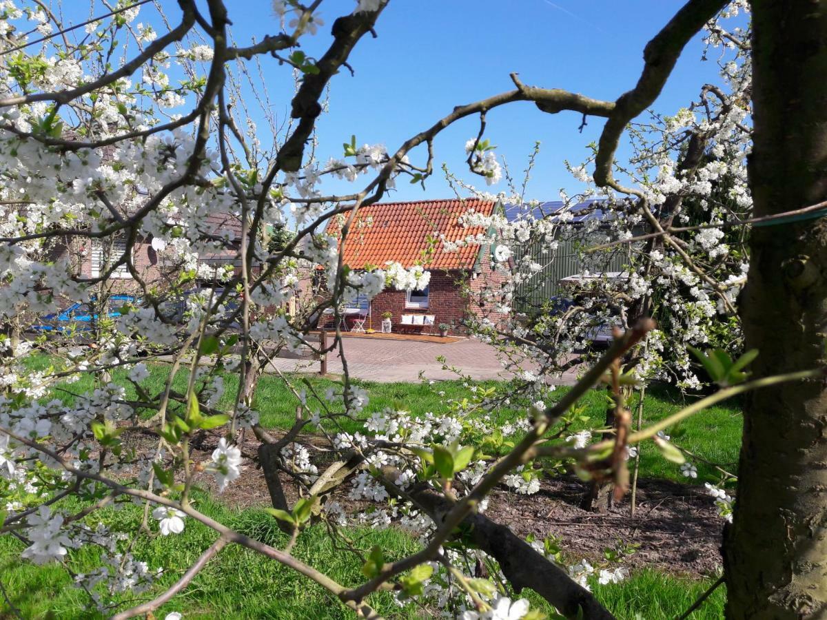 Gemuetliches Haeuschen Im Alten Land Jork Esterno foto